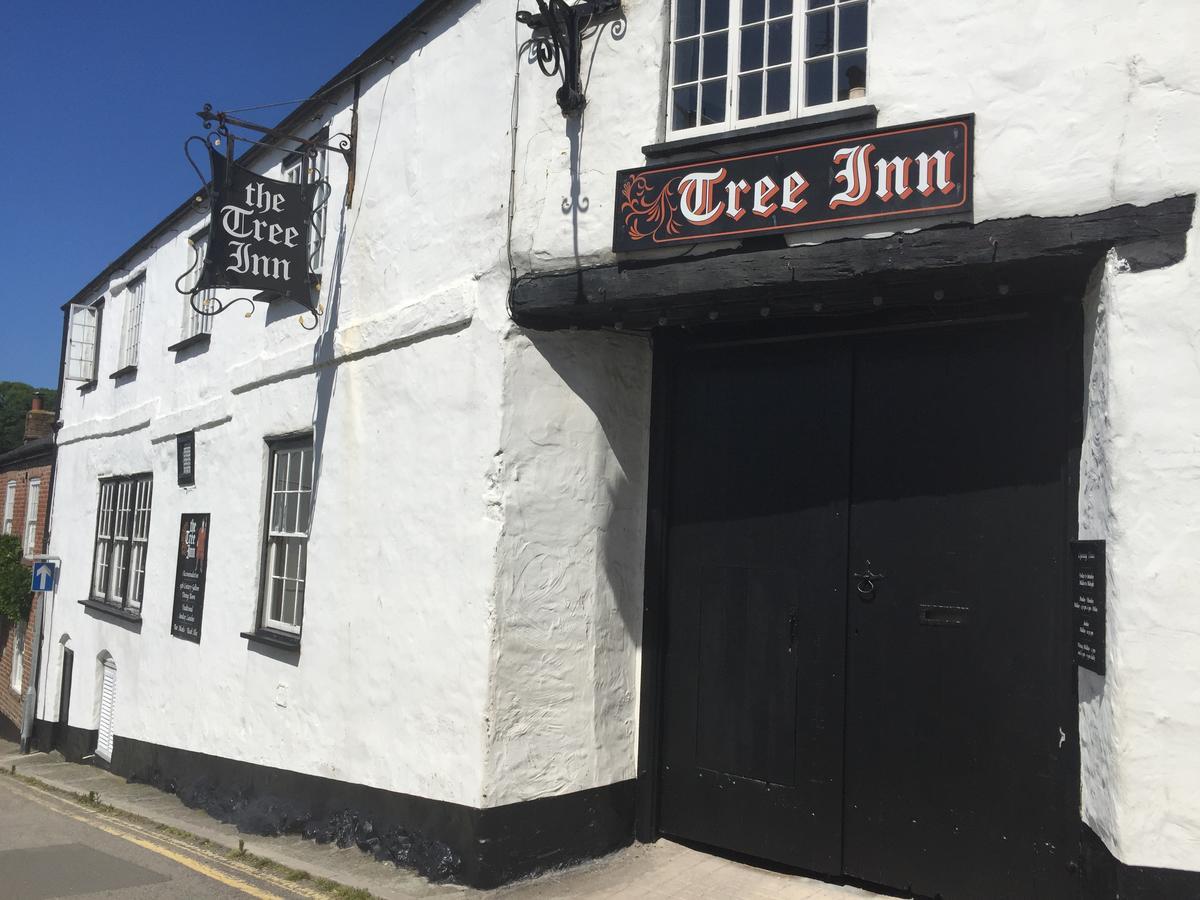 The Tree Inn Bude Buitenkant foto