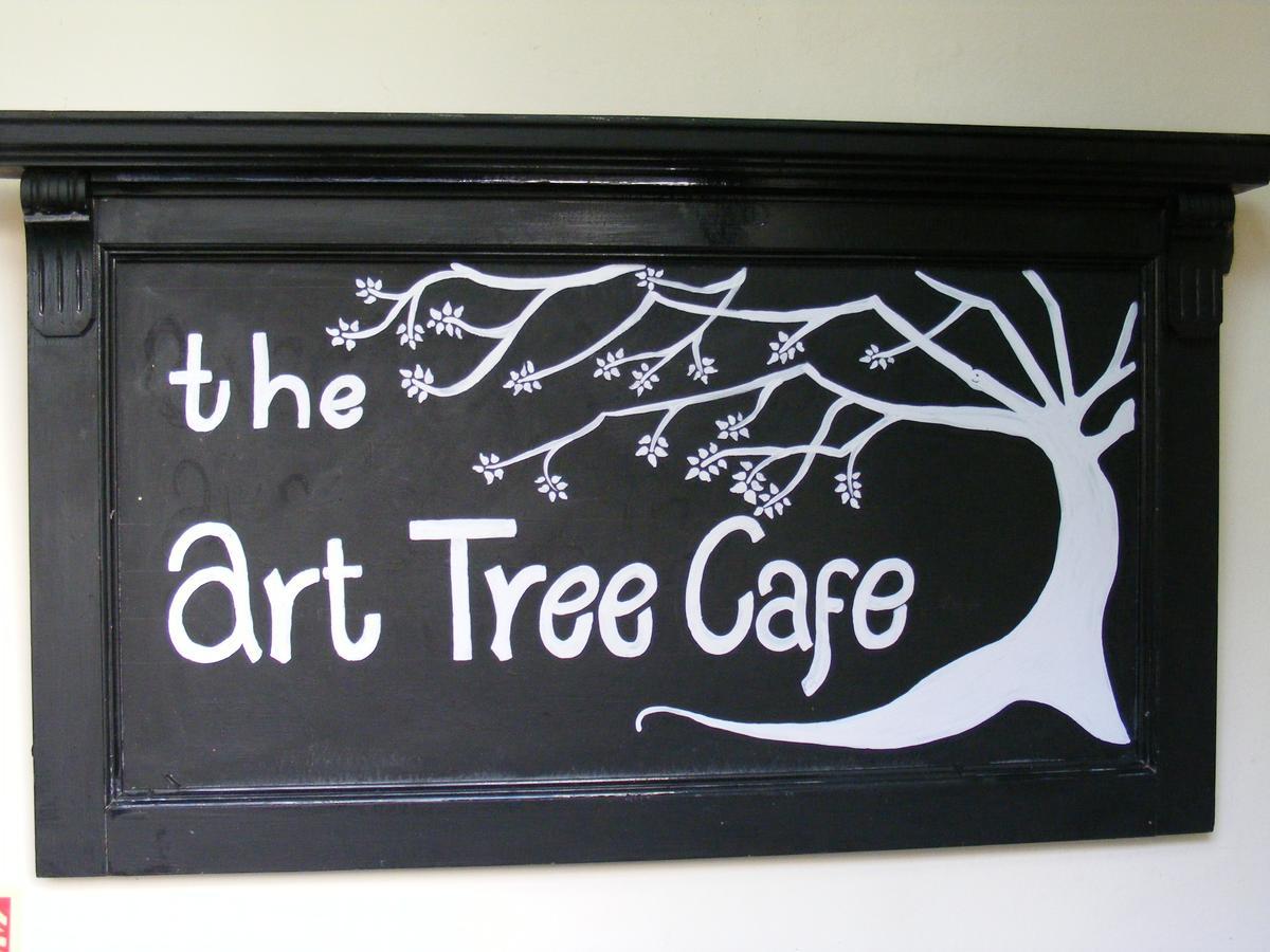 The Tree Inn Bude Buitenkant foto
